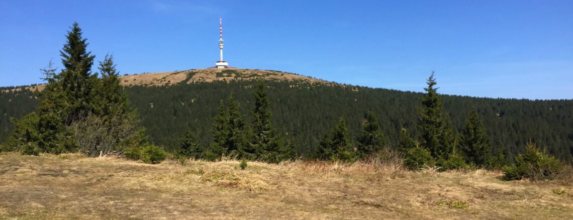 pohled na vrchol Pradědu