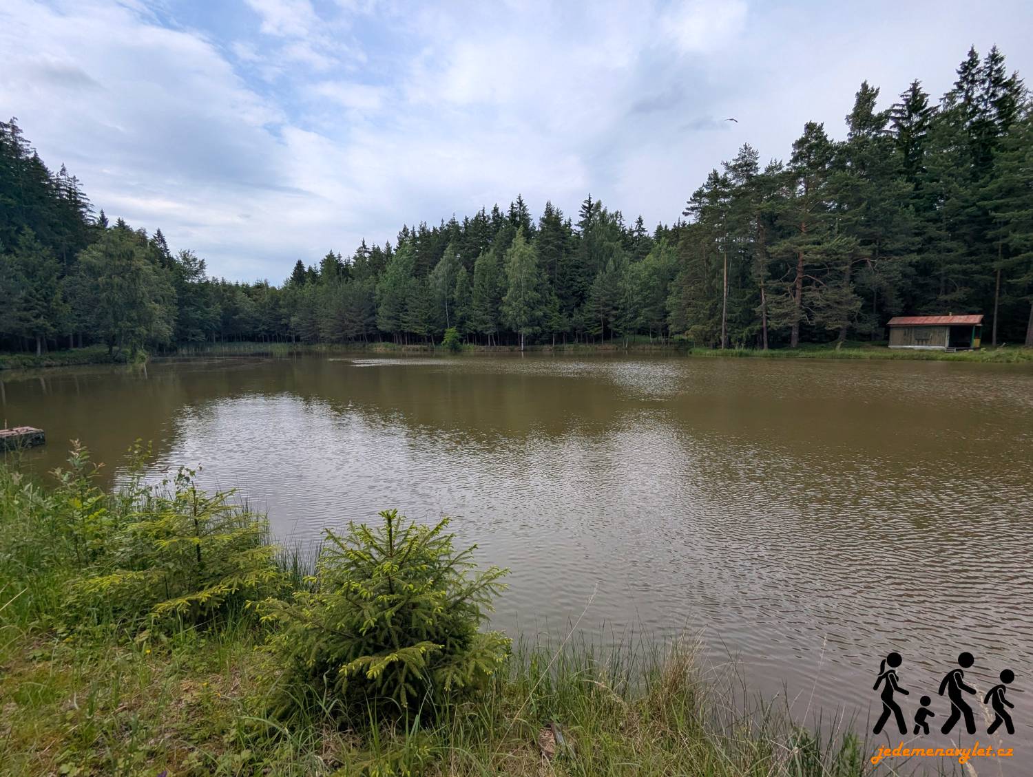 Pivoňský rybník u Lhotky