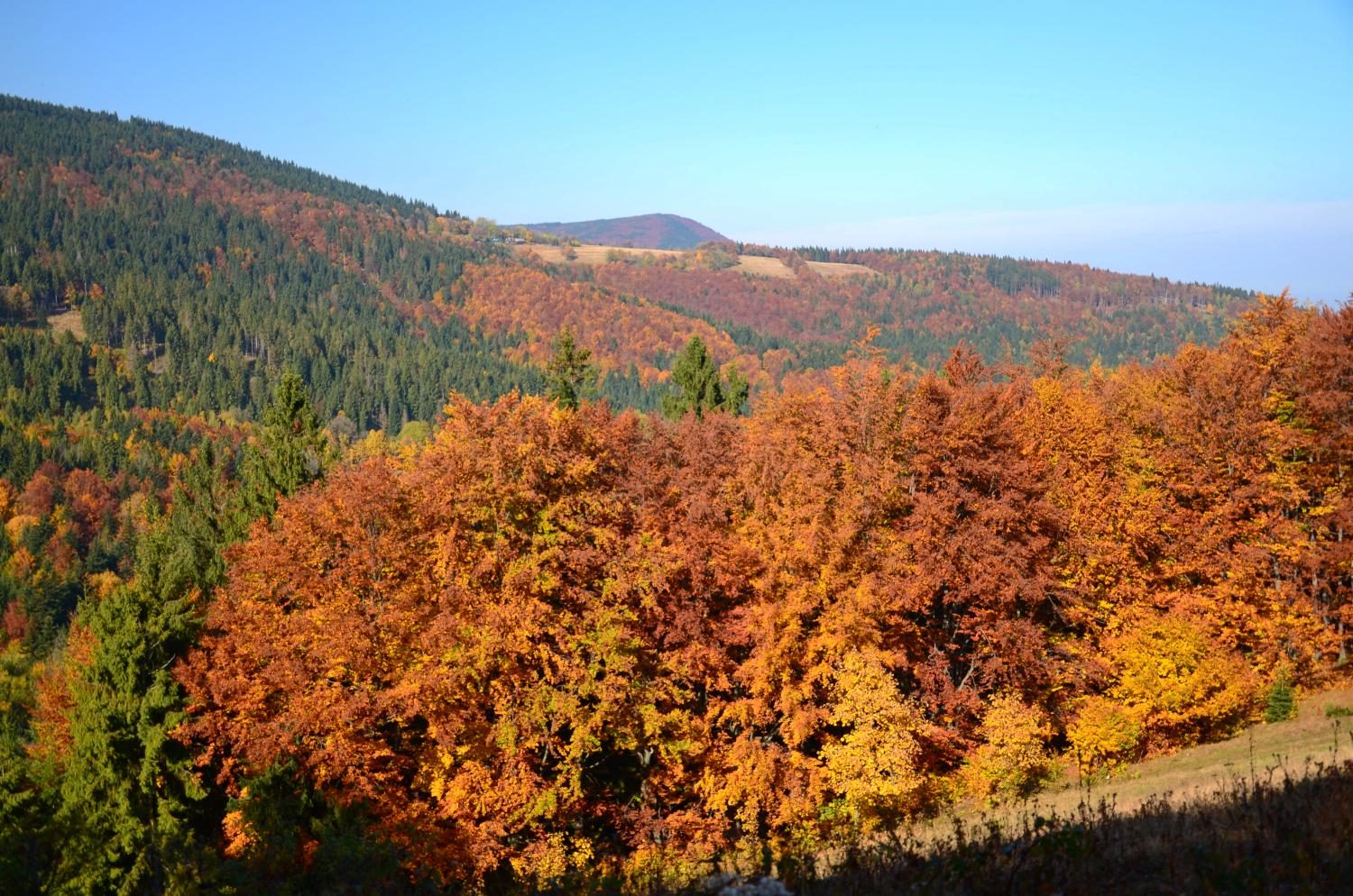 podzim v Beskydech na Kozubové